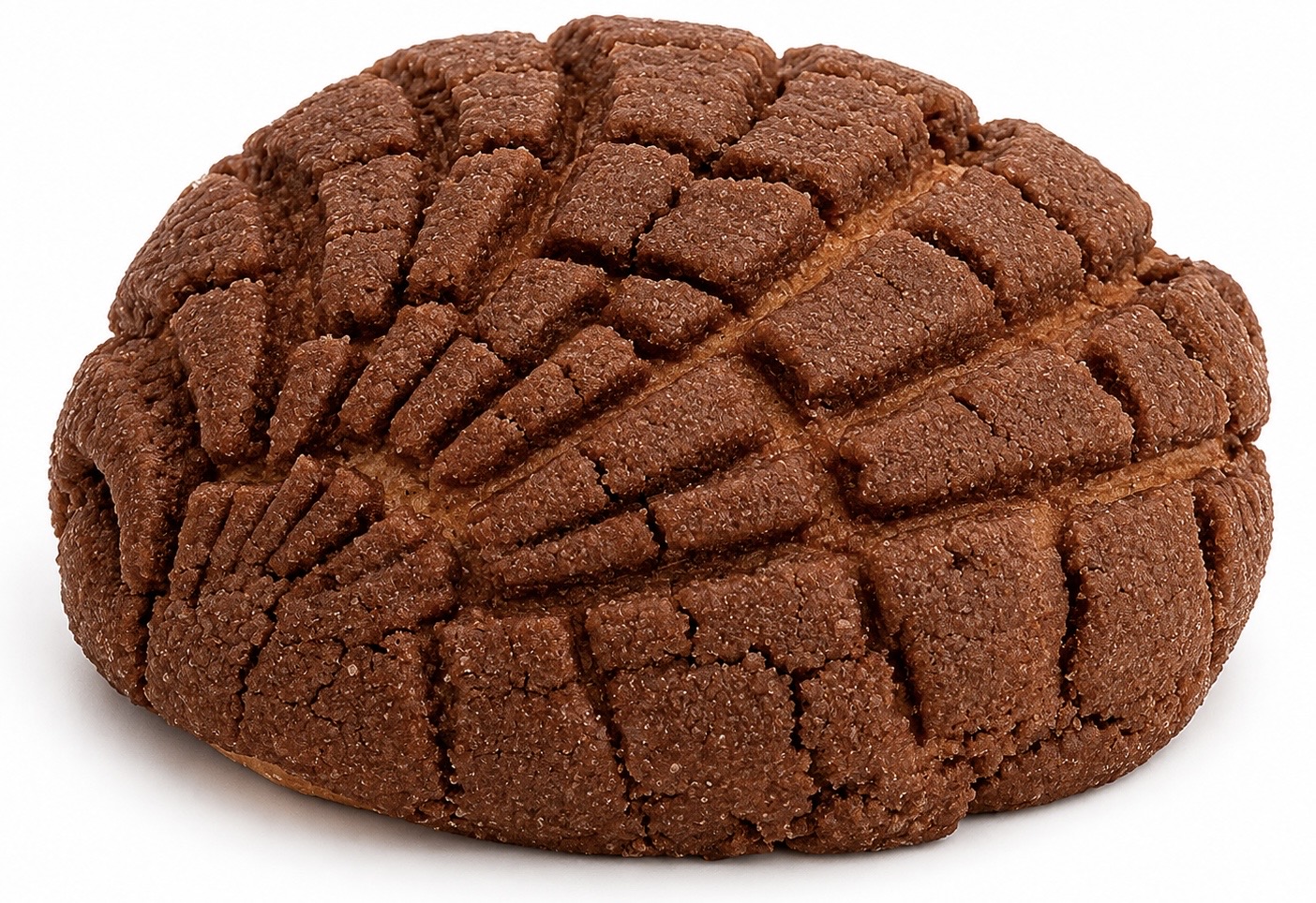 Chocolate Concha